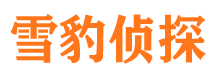 宁城侦探公司